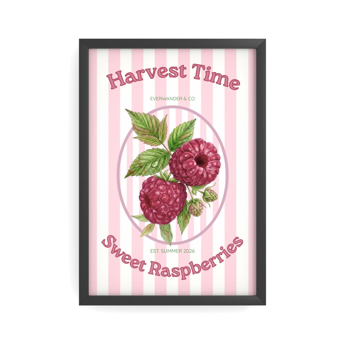 Summer Harvest | Velours de Framboise | Semi-Glossy Poster