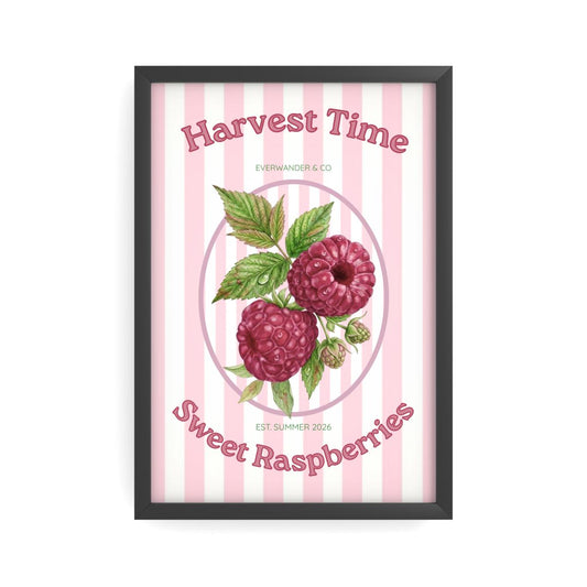 Summer Harvest | Velours de Framboise | Semi-Glossy Poster